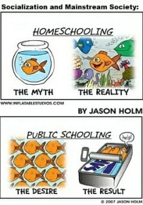 Homeschool vs. Public School