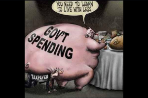 government spending pig