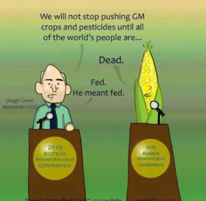 GMO Monsanto CEO