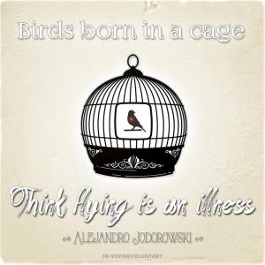 Born In A Cage