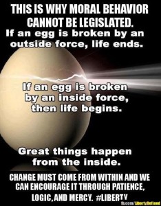 Broken Egg By An Outside Force Ends Life